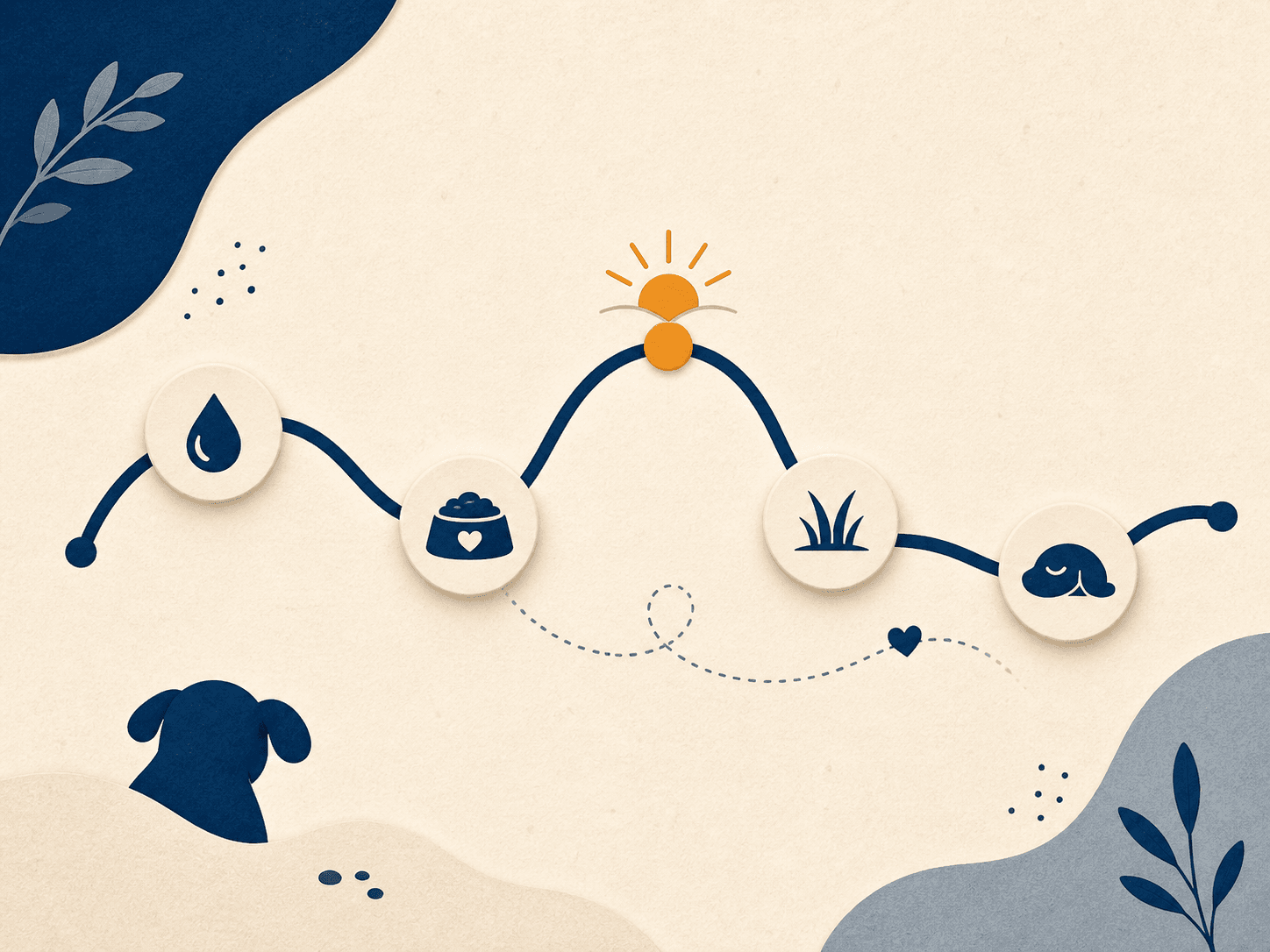 Editorial illustration of a puppy's daily care routine, from water and meals to outdoor breaks and rest
